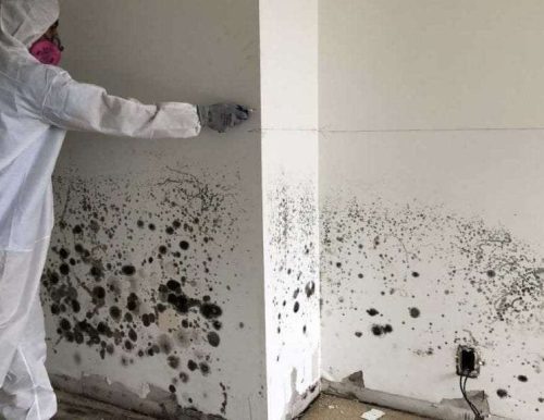 Mold remedition
